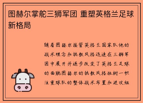 图赫尔掌舵三狮军团 重塑英格兰足球新格局