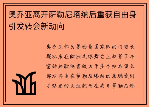 奥乔亚离开萨勒尼塔纳后重获自由身引发转会新动向